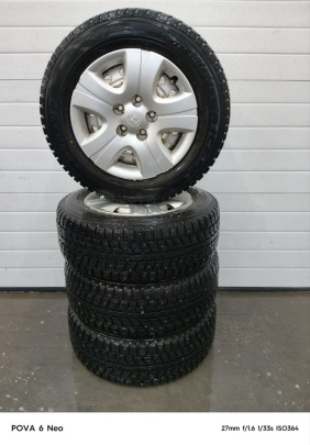 Колеса Dunlop  Зимние шипованные 205/65/15